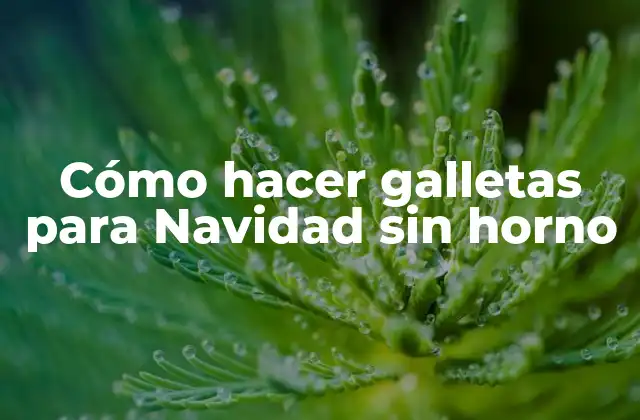 Cómo Hacer Galletas para Navidad sin Horno