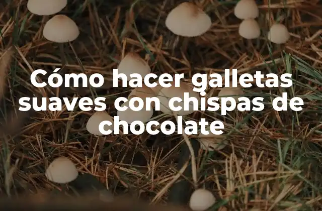 Cómo hacer galletas suaves con chispas de chocolate