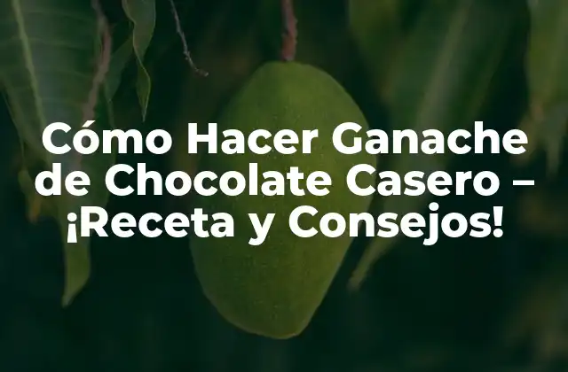 Cómo Hacer Ganache de Chocolate Casero – ¡receta y Consejos!