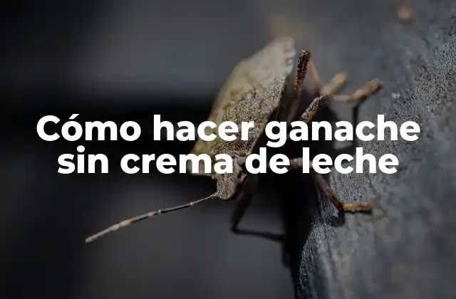 ¿Qué es el ganache y para qué se utiliza?