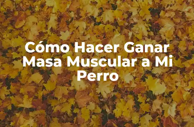 Cómo Hacer Ganar Masa Muscular a Mi Perro