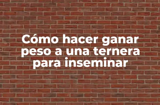 Cómo Hacer Ganar Peso a una Ternera para Inseminar