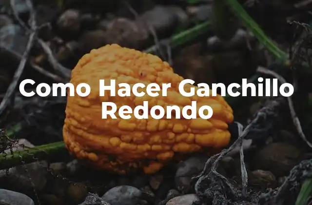 Como Hacer Ganchillo Redondo