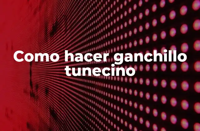 Como Hacer Ganchillo Tunecino