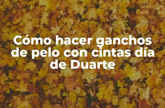 Cómo Hacer Ganchos de Pelo con Cintas Día de Duarte