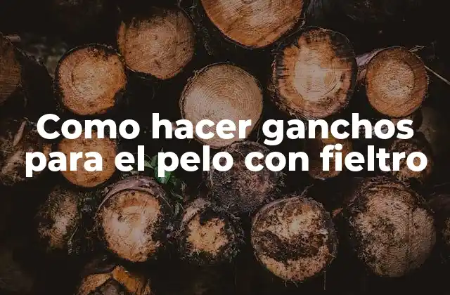 Como Hacer Ganchos para el Pelo con Fieltro