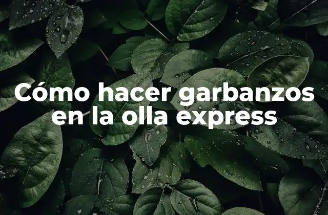 Cómo Hacer Garbanzos en la Olla Express