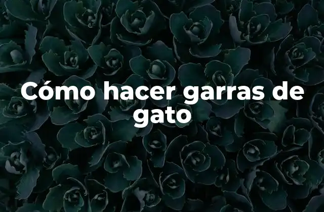 Cómo Hacer Garras de Gato