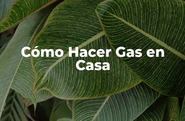 Cómo Hacer Gas en Casa