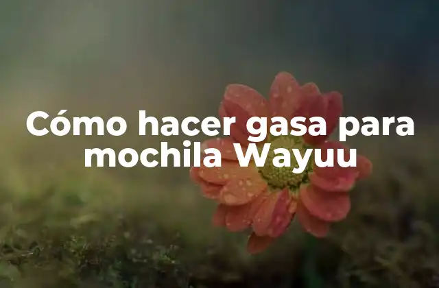 Cómo Hacer Gasa para Mochila Wayuu