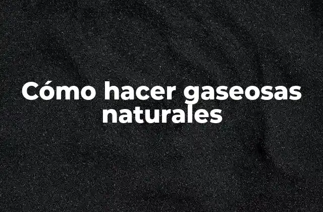 Cómo Hacer Gaseosas Naturales