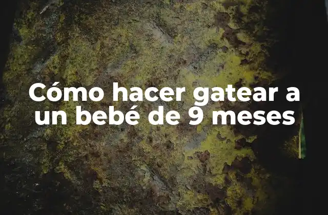 Cómo Hacer Gatear a un Bebé de 9 Meses