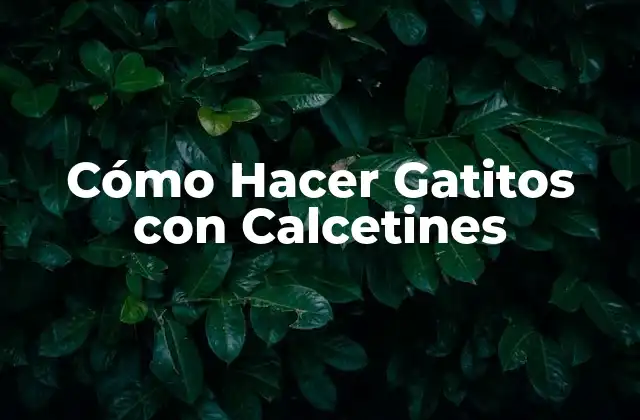 ¿Qué son los Gatitos de Calcetín y para qué Sirven?