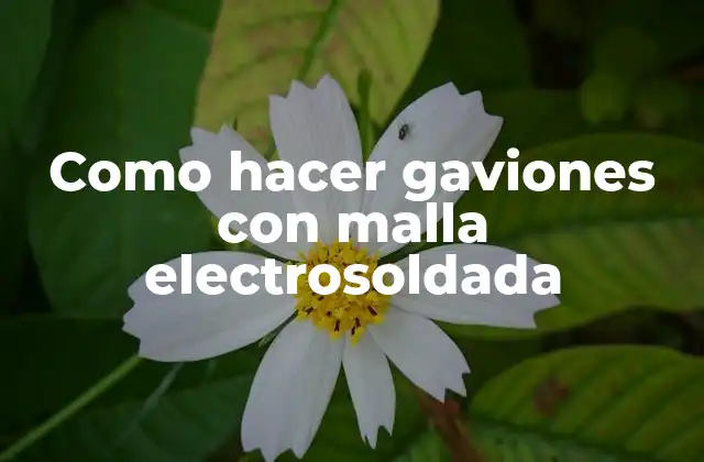 Como Hacer Gaviones con Malla Electrosoldada