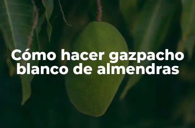 Cómo Hacer Gazpacho Blanco de Almendras