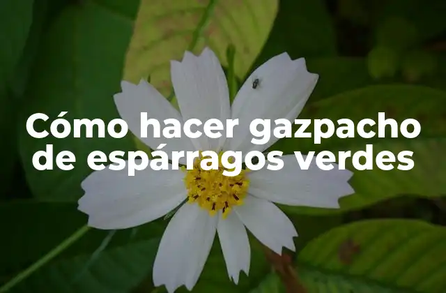 Cómo Hacer Gazpacho de Espárragos Verdes