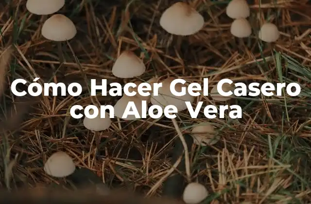 Cómo Hacer Gel Casero con Aloe Vera
