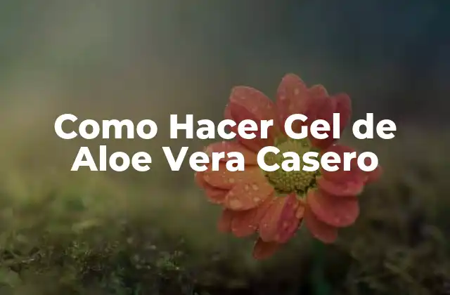 Como Hacer Gel de Aloe Vera Casero
