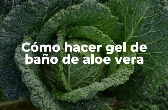 Cómo Hacer Gel de Baño de Aloe Vera