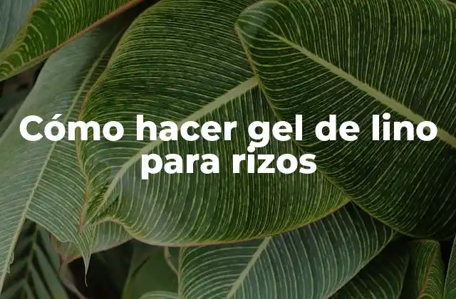 Cómo Hacer Gel de Lino para Rizos