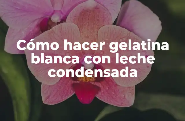 Cómo Hacer Gelatina Blanca con Leche Condensada