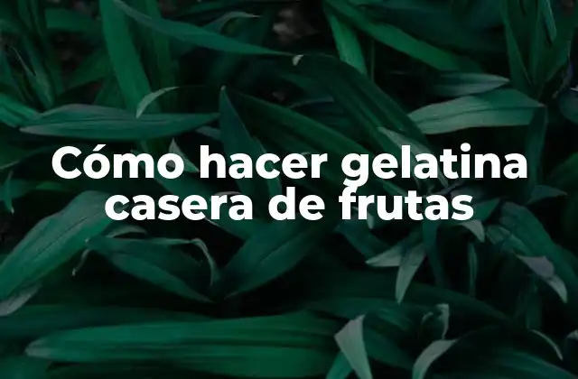 Cómo Hacer Gelatina Casera de Frutas