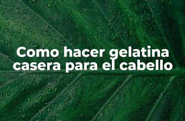 Como Hacer Gelatina Casera para el Cabello 2 ¿Qué es la gelatina casera para el cabello?