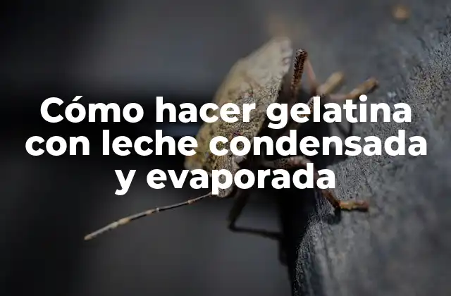 Cómo Hacer Gelatina con Leche Condensada y Evaporada
