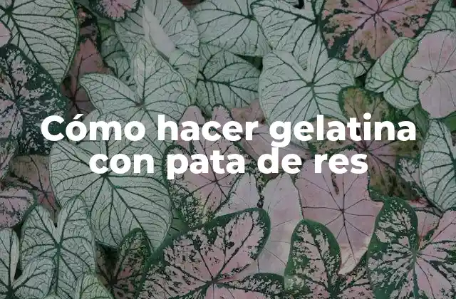 Cómo Hacer Gelatina con Pata de Res