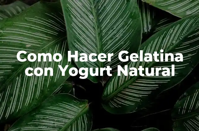 Como Hacer Gelatina con Yogurt Natural