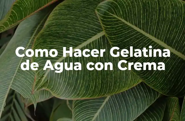 Como Hacer Gelatina de Agua con Crema