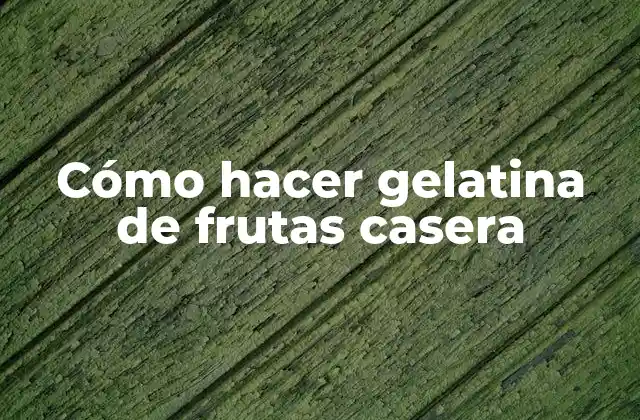 Cómo Hacer Gelatina de Frutas Casera