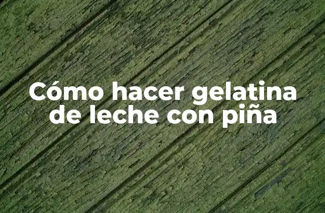 Cómo Hacer Gelatina de Leche con Piña