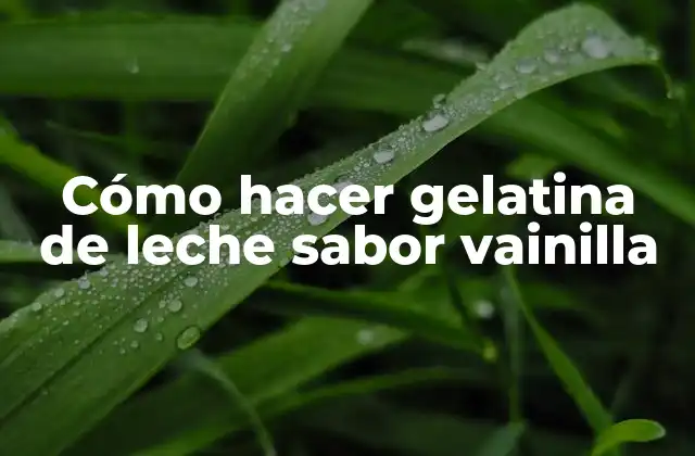 Cómo Hacer Gelatina de Leche Sabor Vainilla