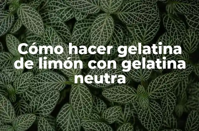 Cómo Hacer Gelatina de Limón con Gelatina Neutra
