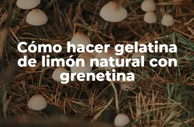 Cómo Hacer Gelatina de Limón Natural con Grenetina