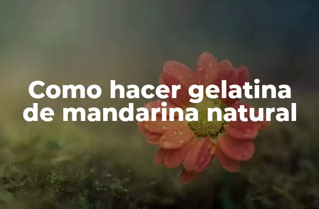 Como Hacer Gelatina de Mandarina Natural