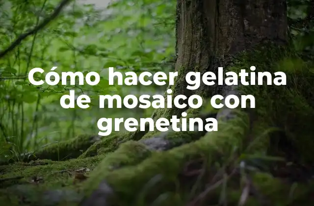 Cómo Hacer Gelatina de Mosaico con Grenetina
