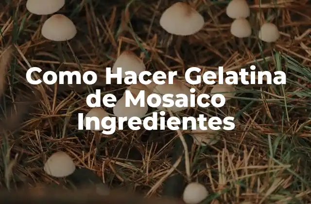 Como Hacer Gelatina de Mosaico Ingredientes