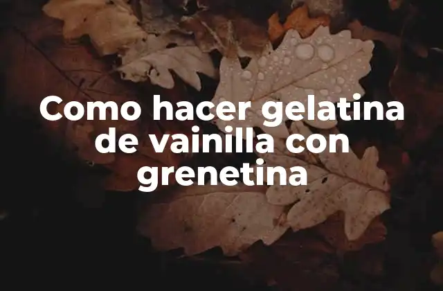 Como Hacer Gelatina de Vainilla con Grenetina