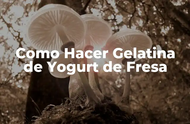 ¿Qué es la Gelatina de Yogurt de Fresa?