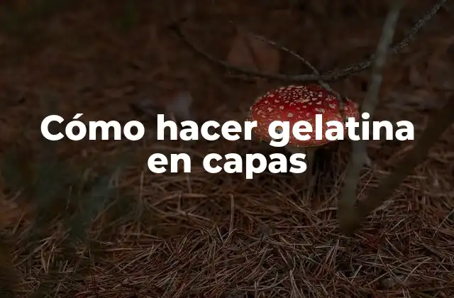 Cómo Hacer Gelatina en Capas
