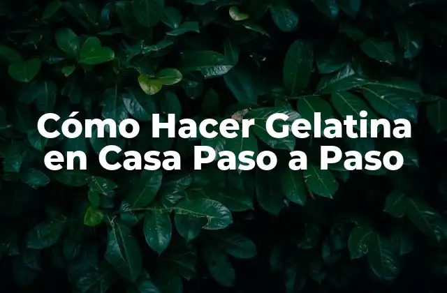 Cómo Hacer Gelatina en Casa Paso a Paso