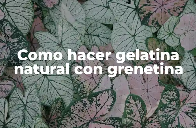 Como Hacer Gelatina Natural con Grenetina