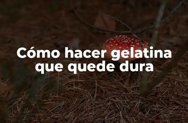 Cómo Hacer Gelatina que Quede Dura