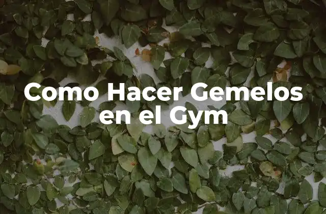Como Hacer Gemelos en el Gym