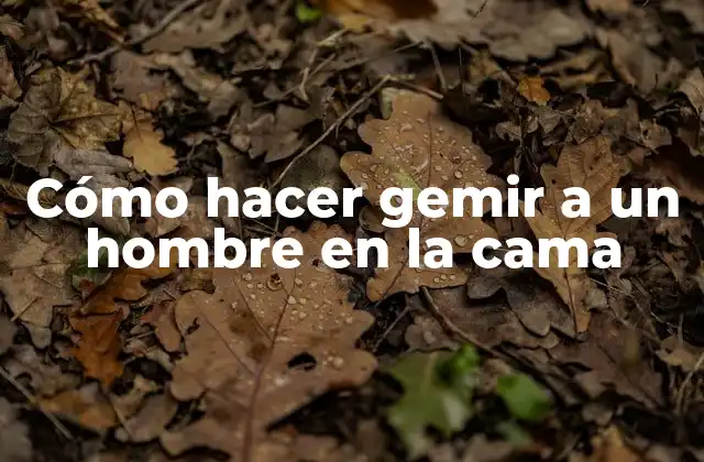 Cómo Hacer Gemir a un Hombre en la Cama