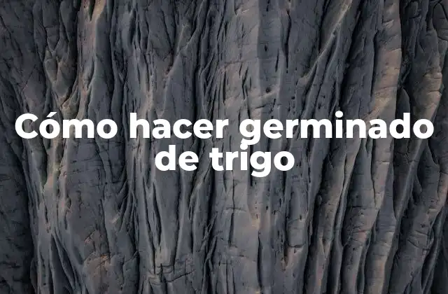Cómo Hacer Germinado de Trigo