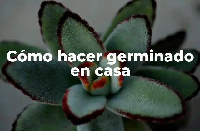 Cómo Hacer Germinado en Casa