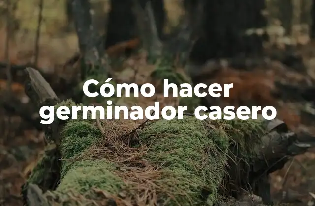 Cómo Hacer Germinador Casero